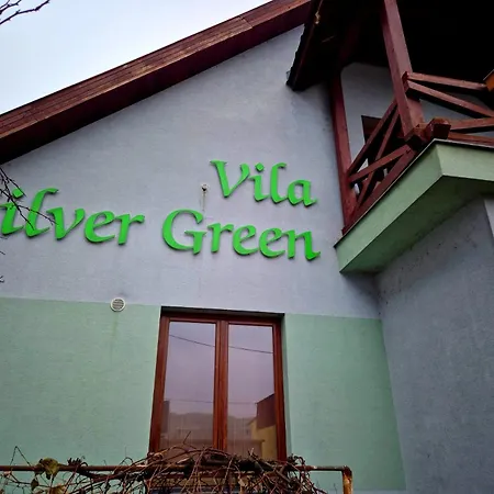 Гостевой дом Silver Zarnovica